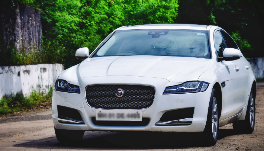 jaguar